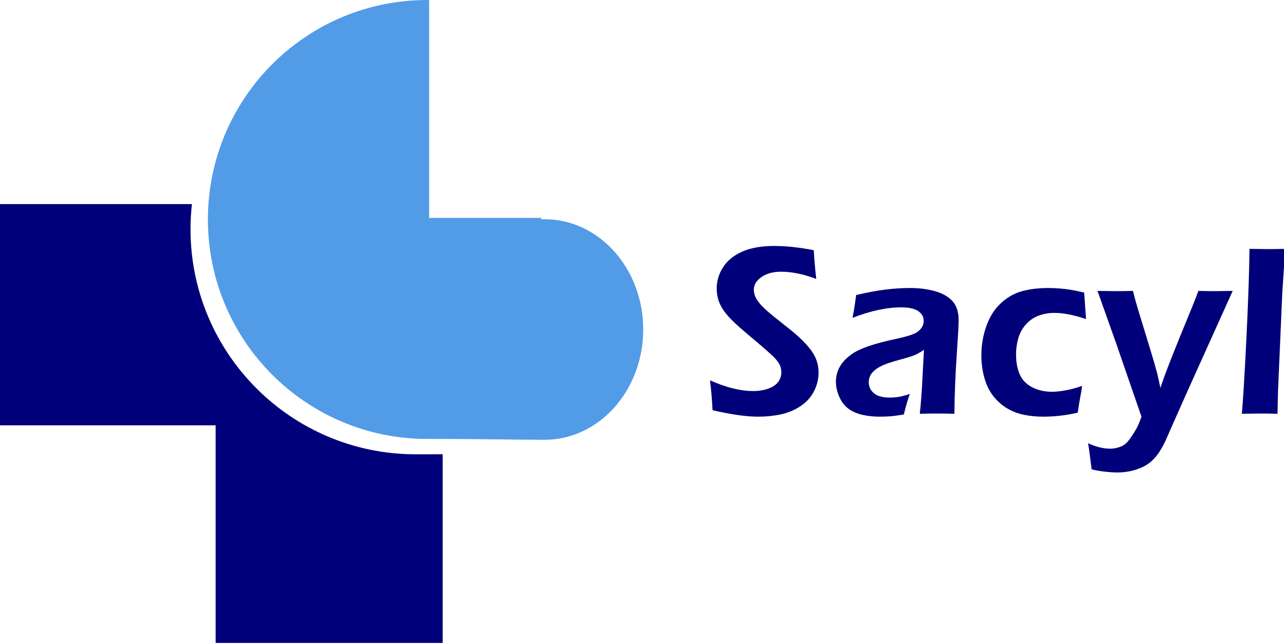 2560px-Sacyl.svg